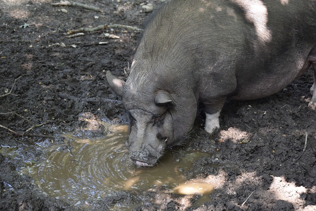 多的机会 多的机会