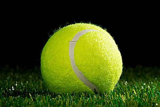 得信賴的內 得信賴的內