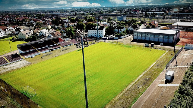 现实力的重 现实力的重