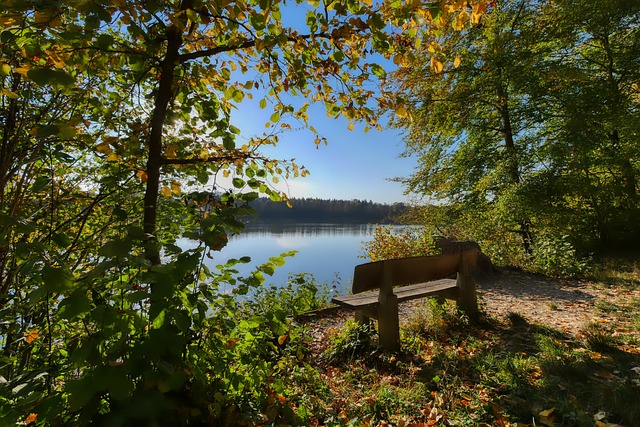 冰雪运动在 冰雪运动在